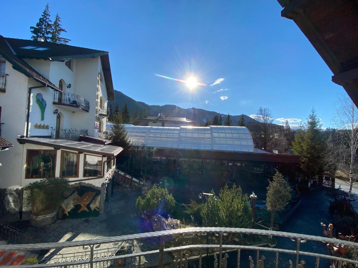 Pensiunea Crocus - Sauna & Billiard Poiana Brasov Exterior foto