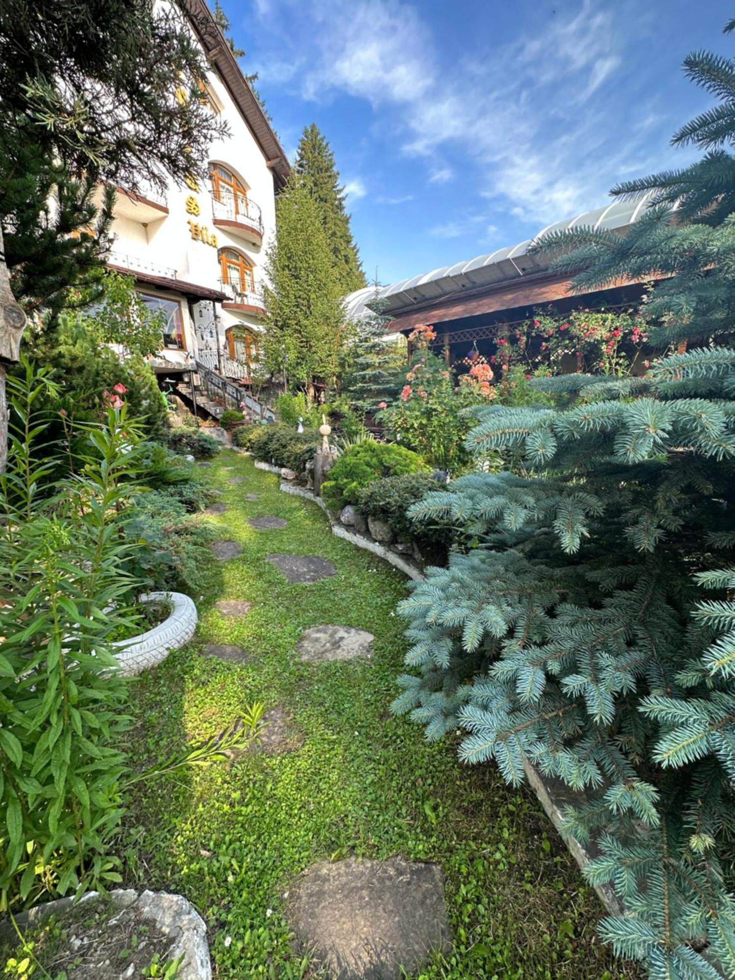 Pensiunea Crocus - Sauna & Billiard Poiana Brasov Exterior foto